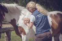 hestemassage, djursland, østjylland